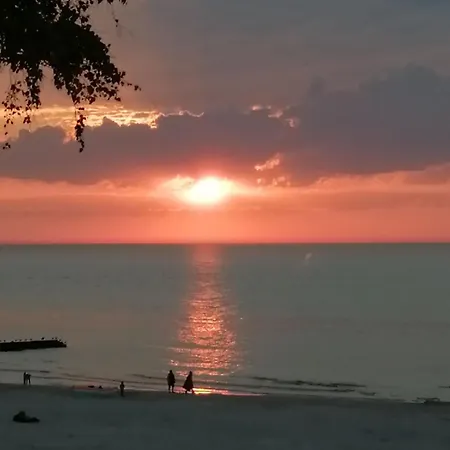 ホテル Spinaker ウェバ